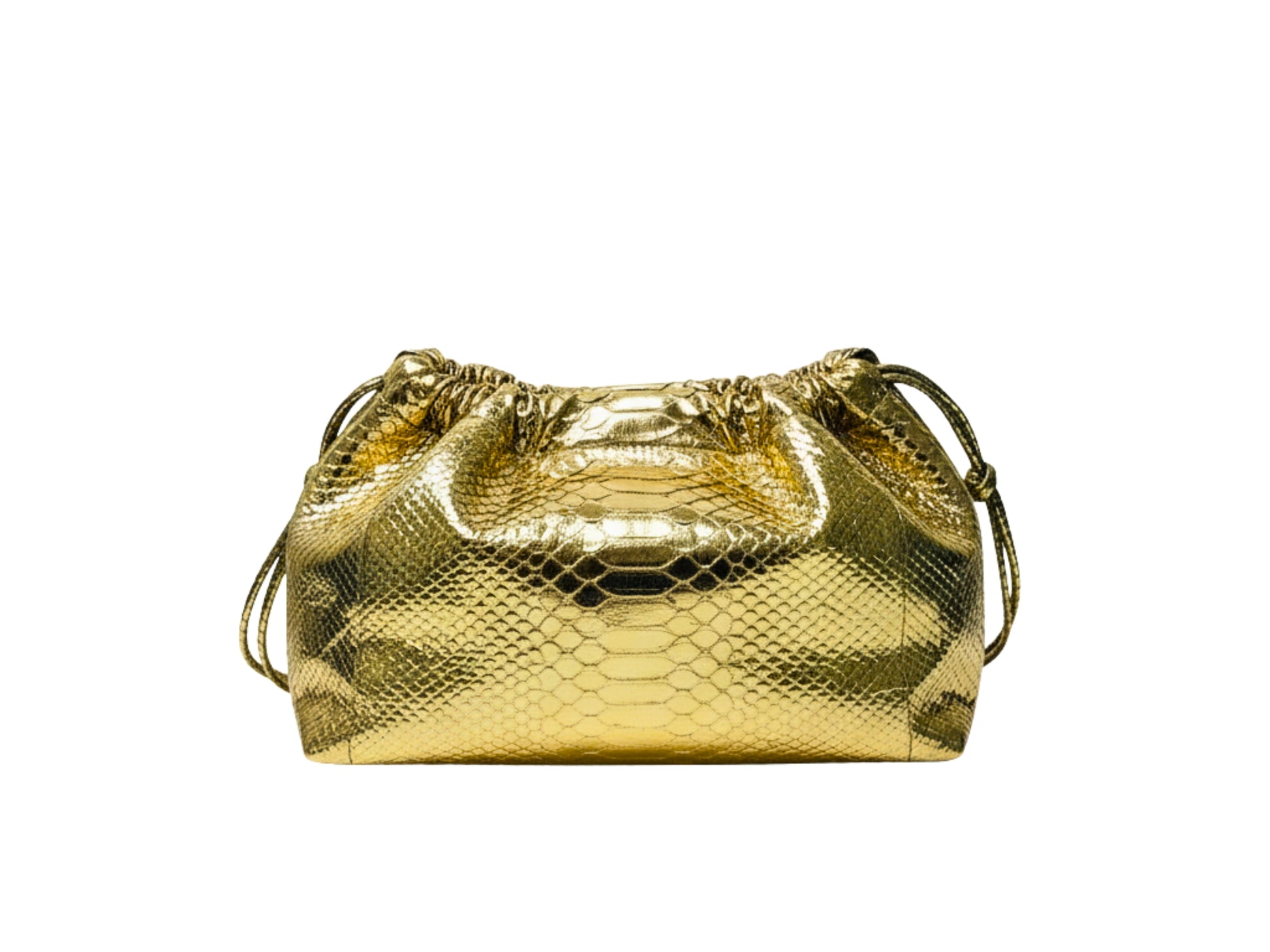 Genuine Python Snakeskin Bag for Women: Handmade Exotic Leather Purse