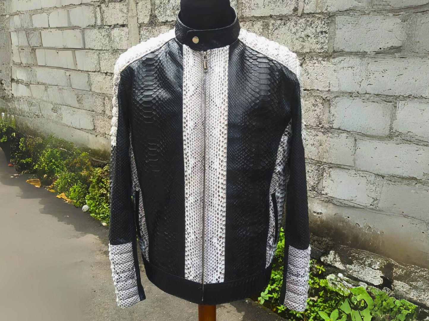Cafe Racer Snakeskin Leather Jacket - LFM Fashion