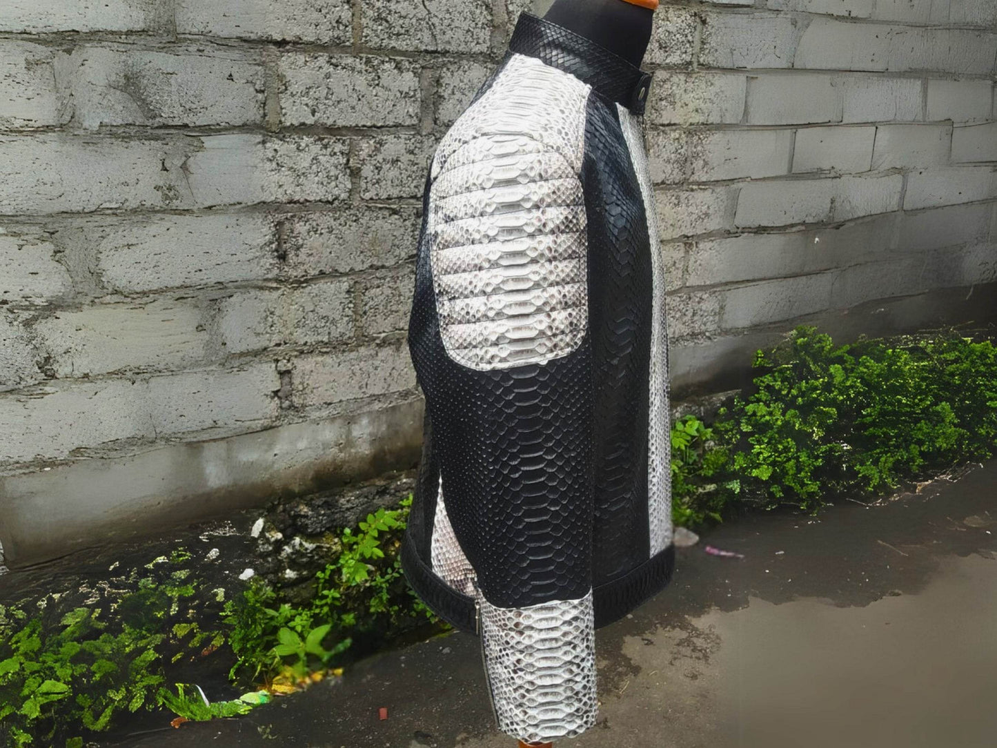 Cafe Racer Snakeskin Leather Jacket - LFM Fashion