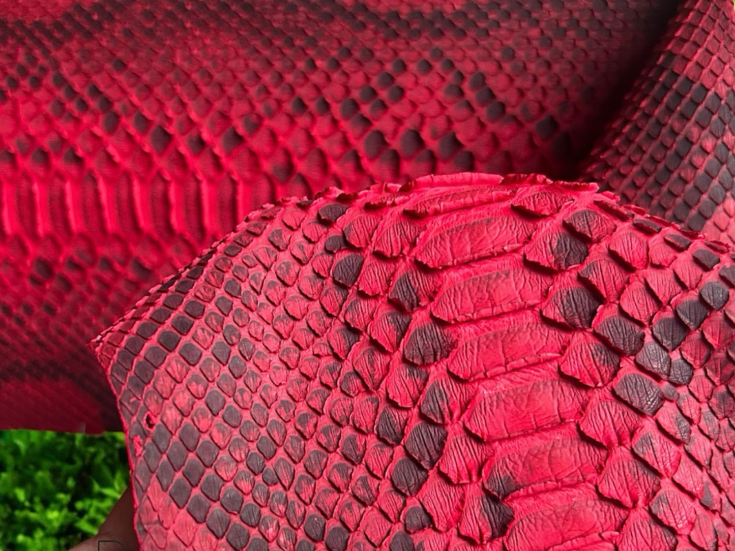 Genuine Python Snakeskin Leather Biker Jacket: Red Exotic Motorcycle Jacket