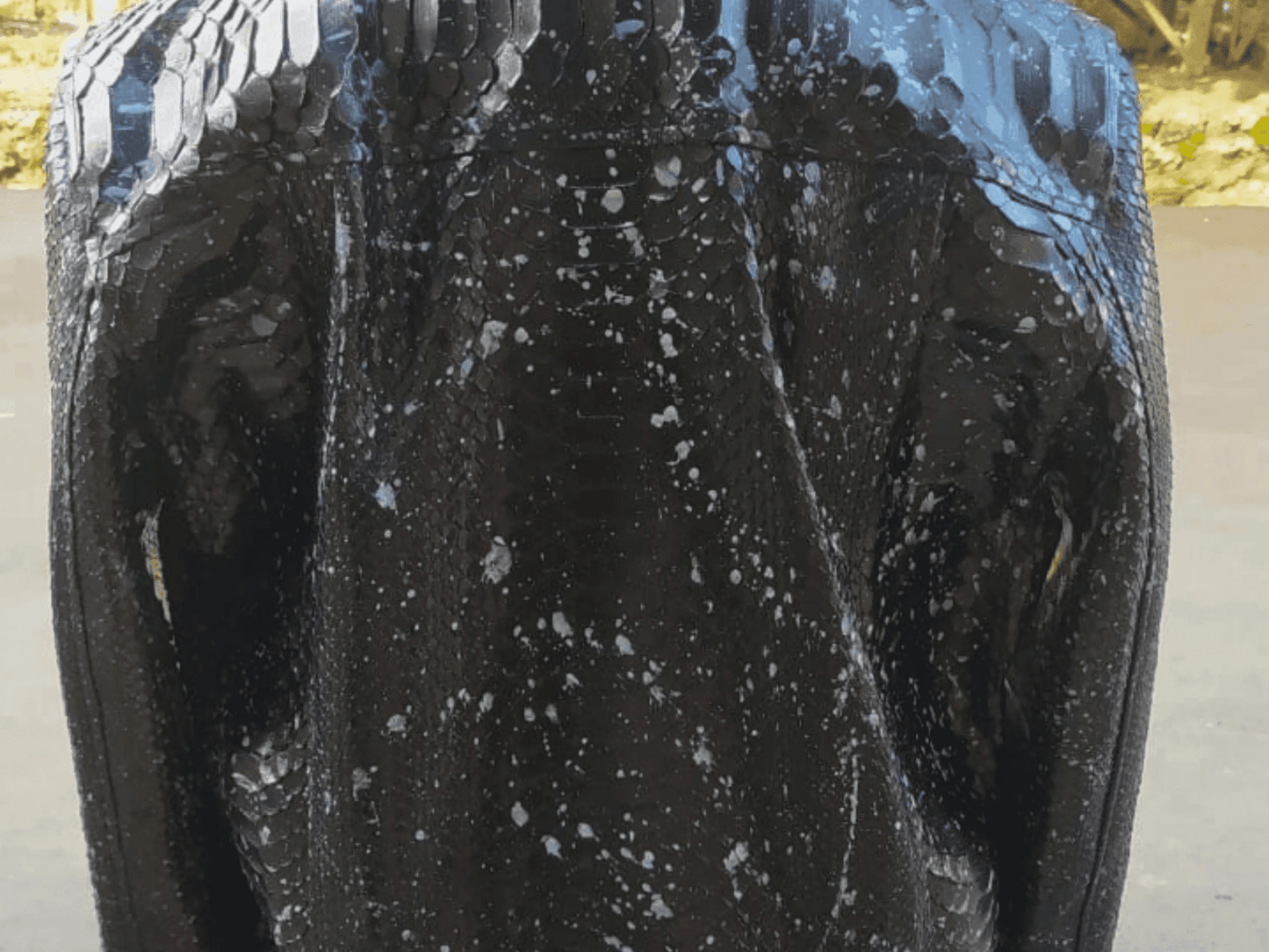 Black Hoodie Snakeskin Jacket - Python Jacket by LFM Fashion