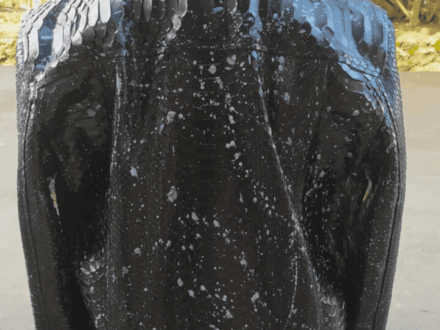 Black Hoodie Snakeskin Jacket - LFM Fashion
