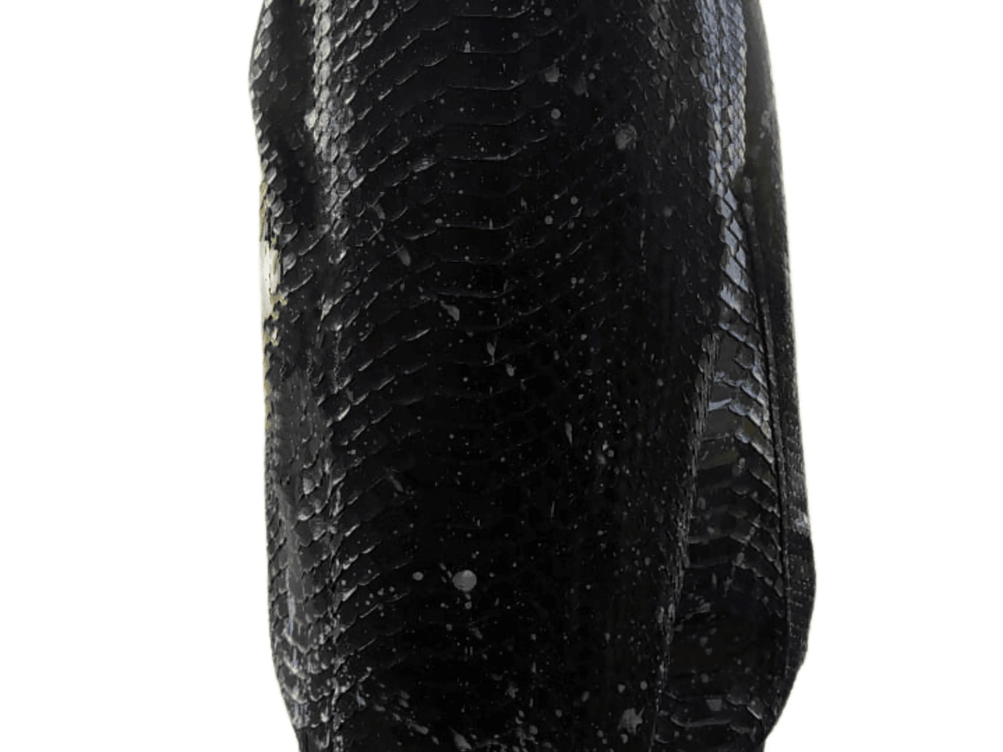 Black Hoodie Snakeskin Jacket - Python Jacket by LFM Fashion