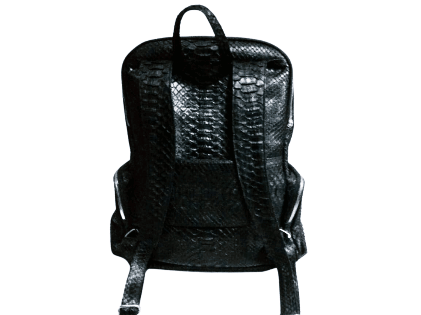 Black Snakeskin Backpack Python Jacket by LFM Fashion