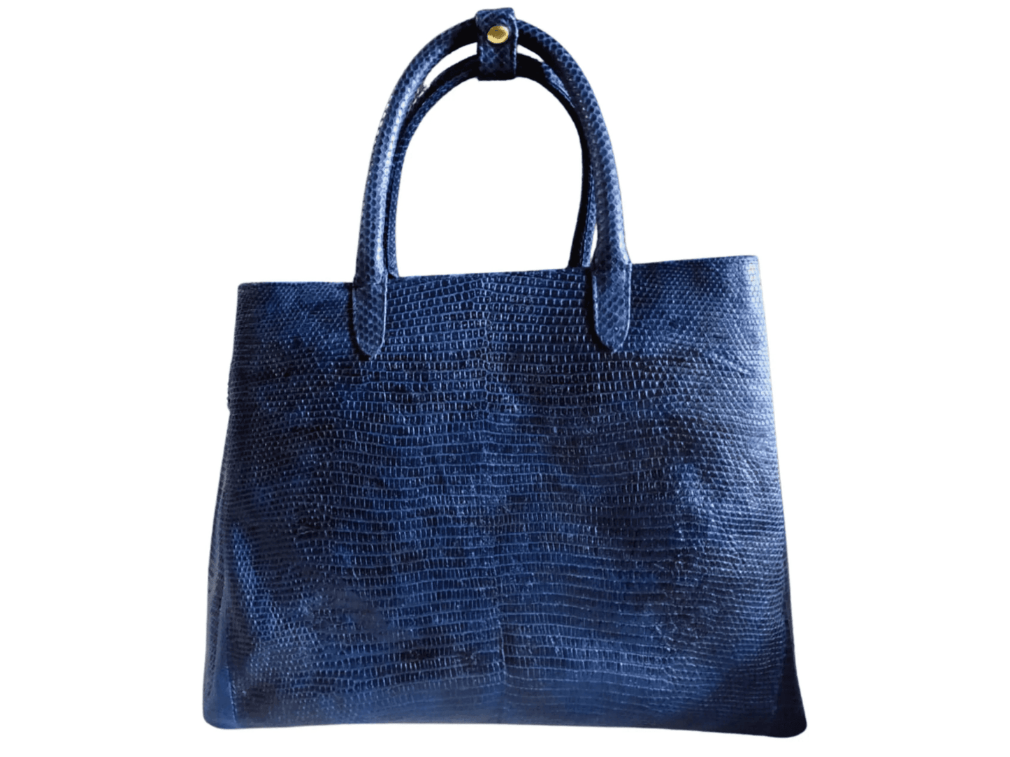 Blue Lizard Skin Totes Bag - Python Jacket by LFM Fashion