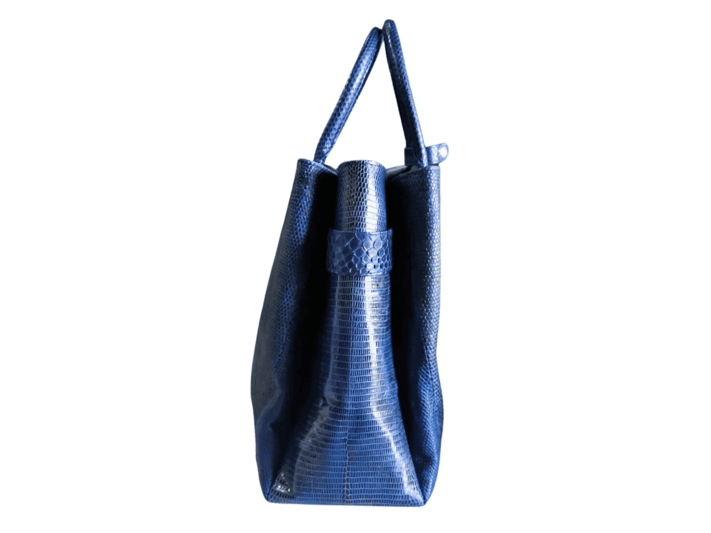 Blue Lizard Skin Totes Bag - Python Jacket by LFM Fashion