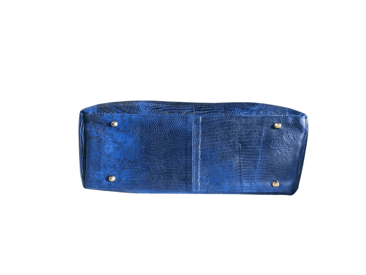 Blue Lizard Skin Totes Bag - Python Jacket by LFM Fashion