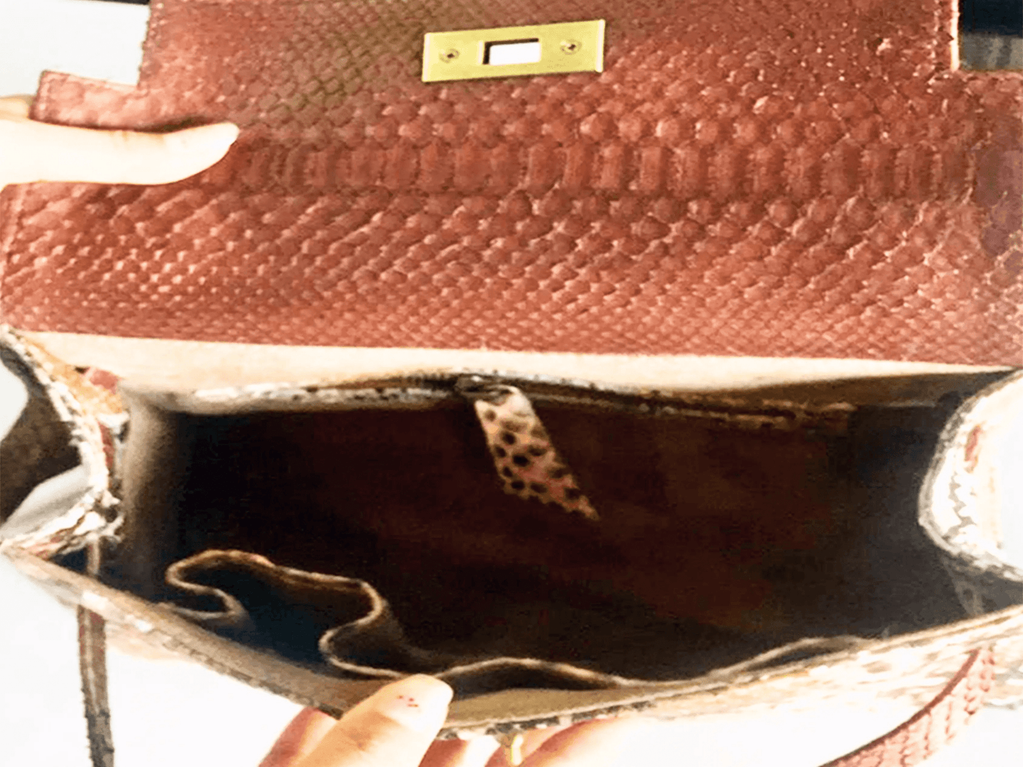 Brown Snakeskin Kelly Bag 25 - Python Jacket by LFM Fashion