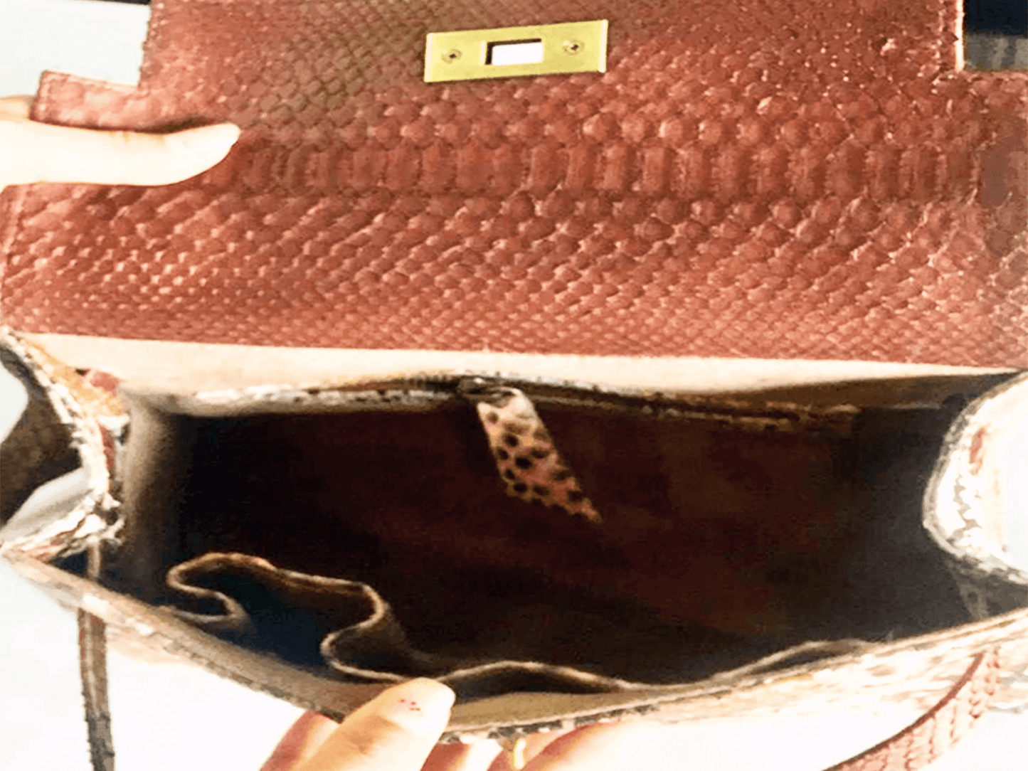 Brown Snakeskin Kelly Bag 25 - LFM Fashion