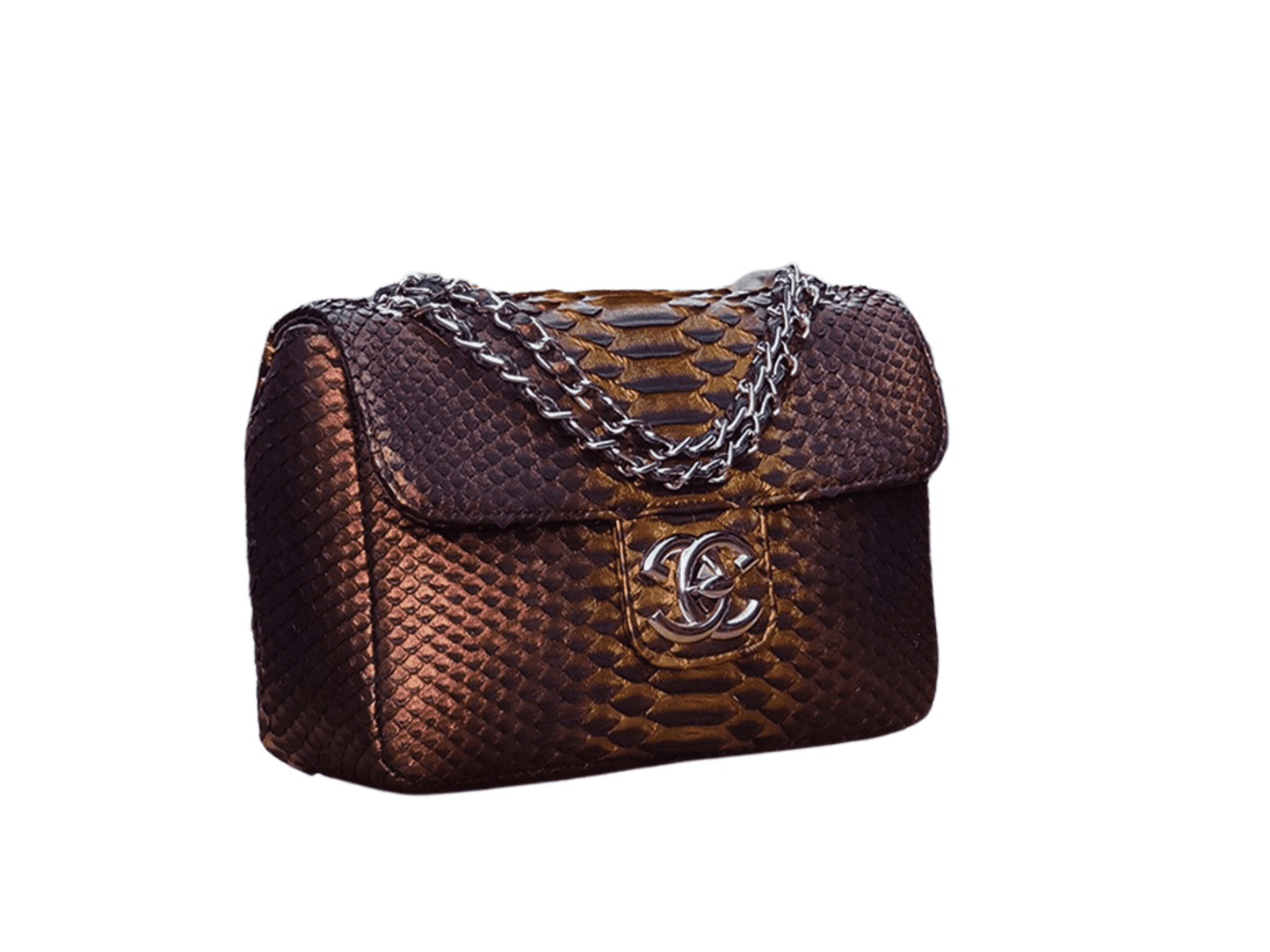 Chanel Small Flap Snakeskin Shoulder Bag Brown Python Jacket by LFM Fashion