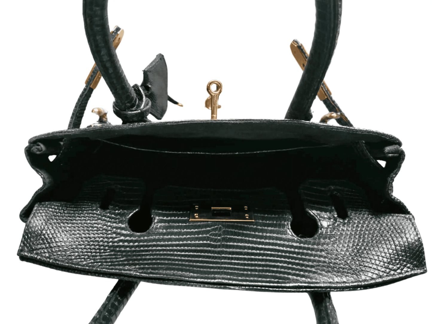 Lizard Birkin 25 - Python Jacket by LFM Fashion