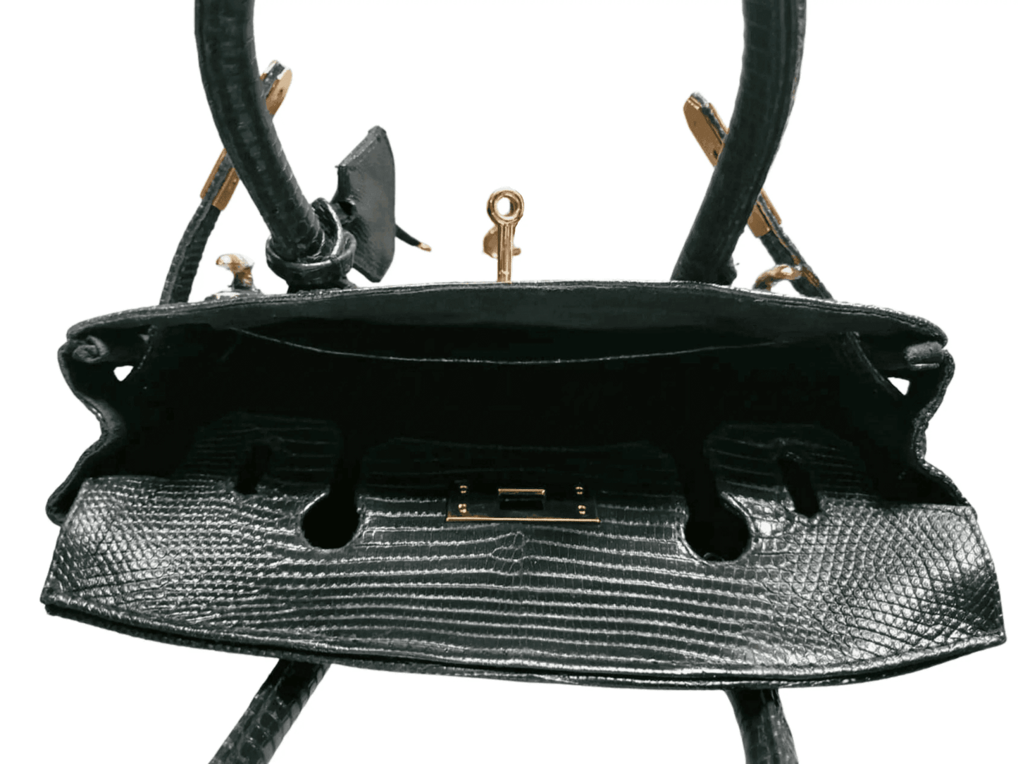 Lizard Birkin 25 - LFM Fashion