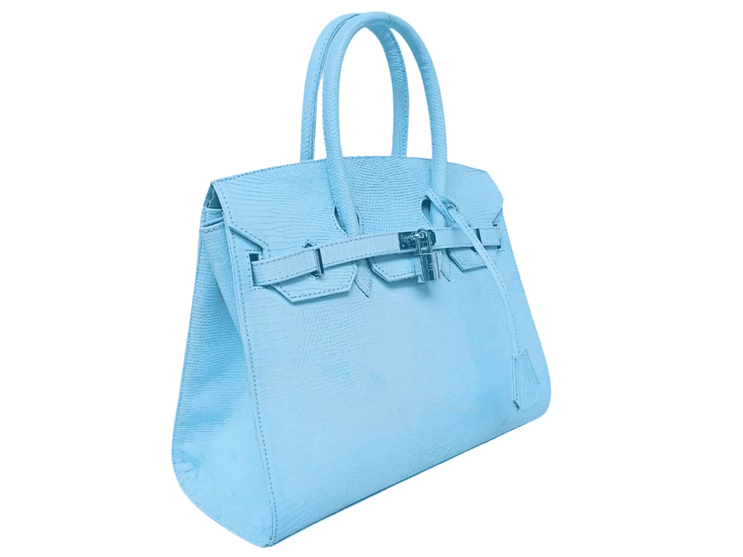 Lizard Birkin 25 - Python Jacket by LFM Fashion