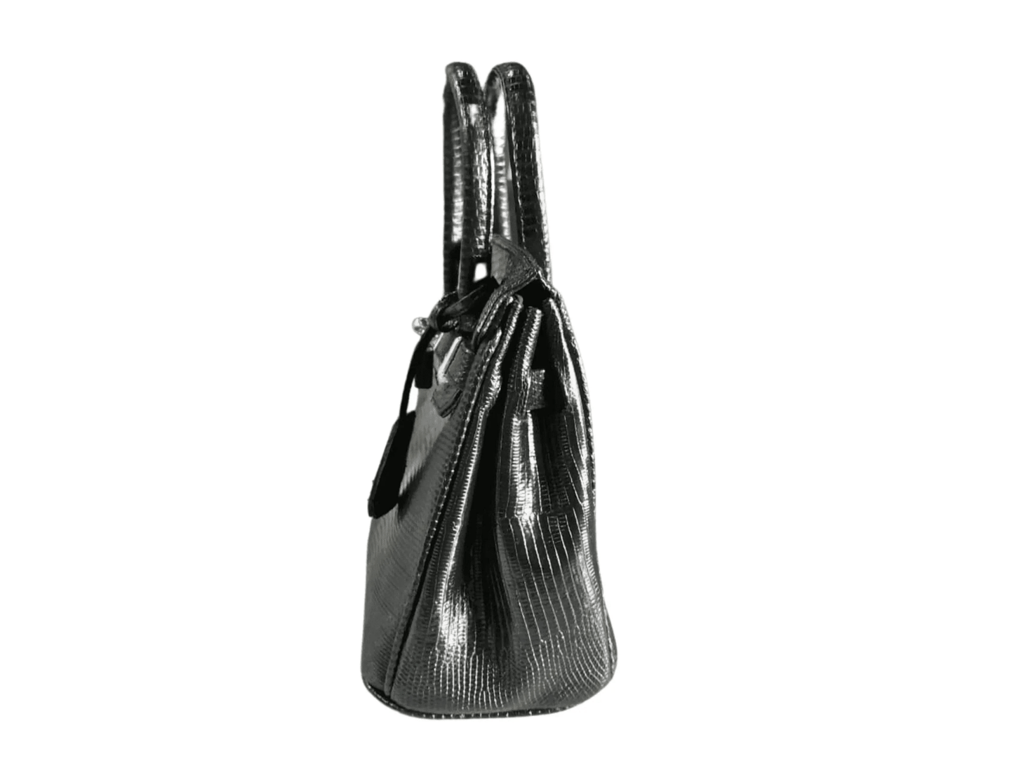 Lizard Birkin 25 - Python Jacket by LFM Fashion