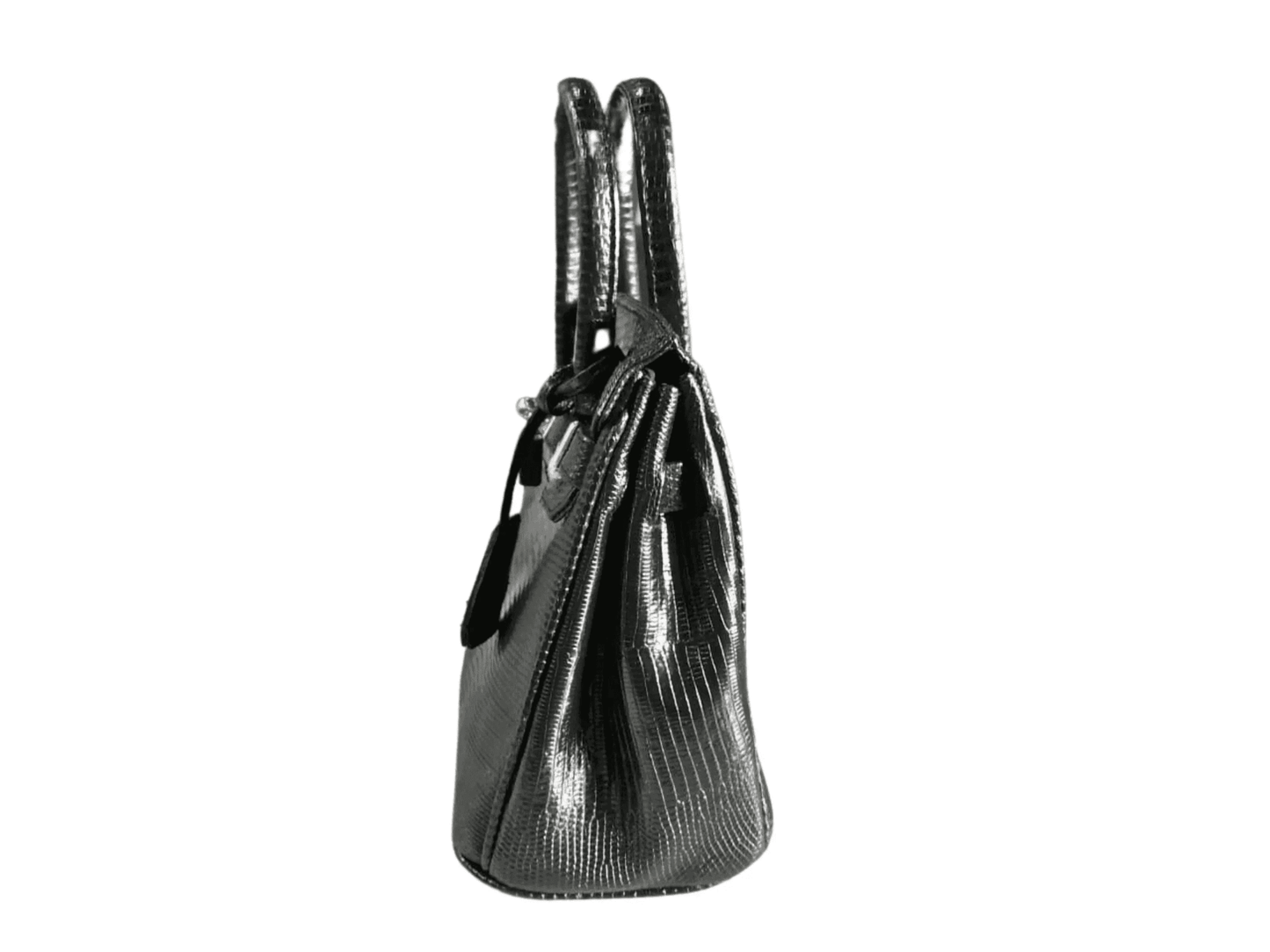 Lizard Birkin 25 - LFM Fashion