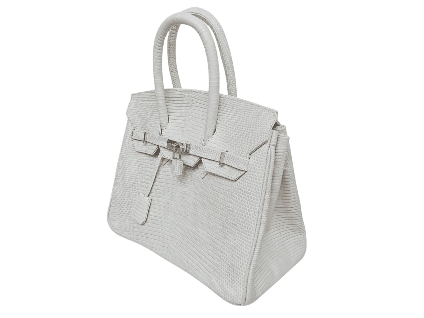 Lizard Birkin 25 - Python Jacket by LFM Fashion