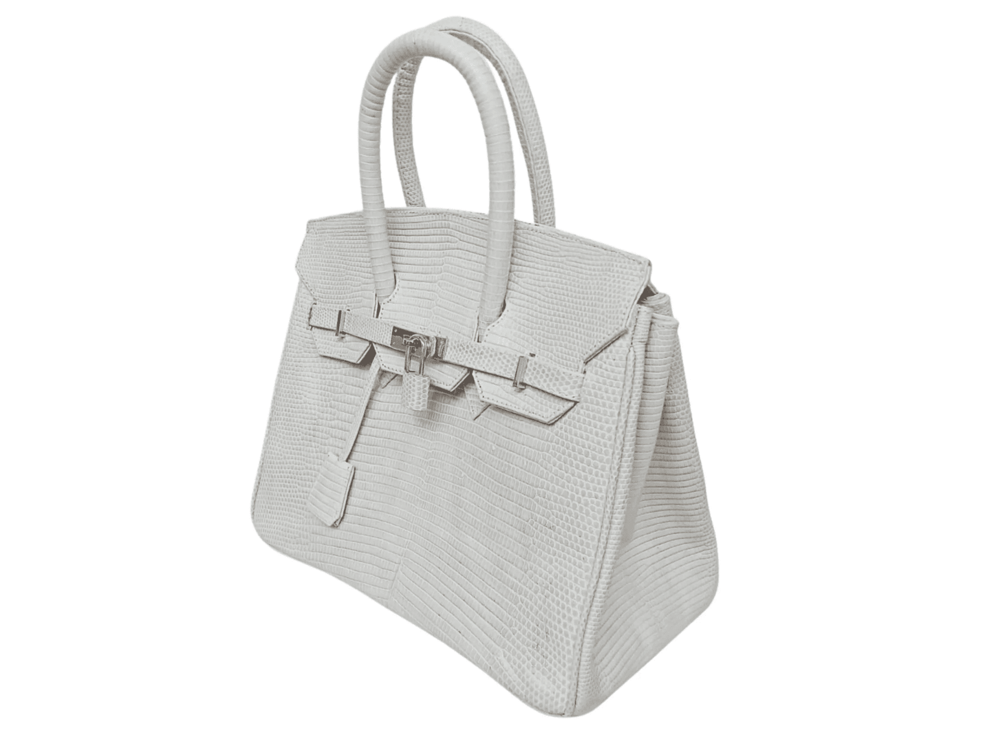Lizard Birkin 25 - LFM Fashion
