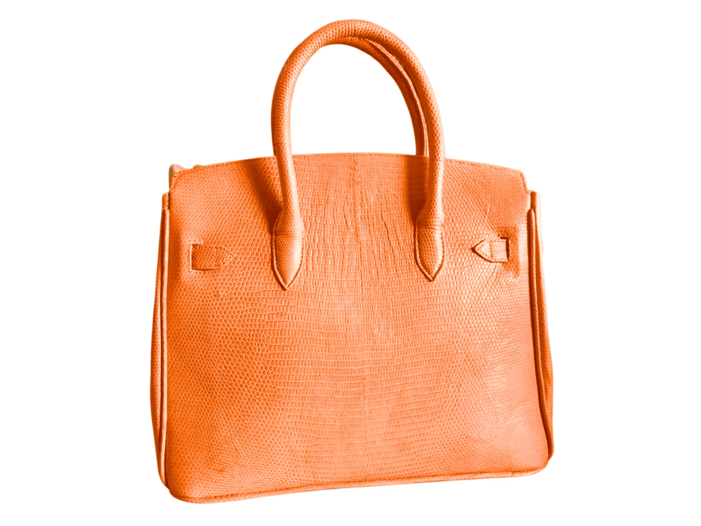 Lizard Birkin 25 - Python Jacket by LFM Fashion