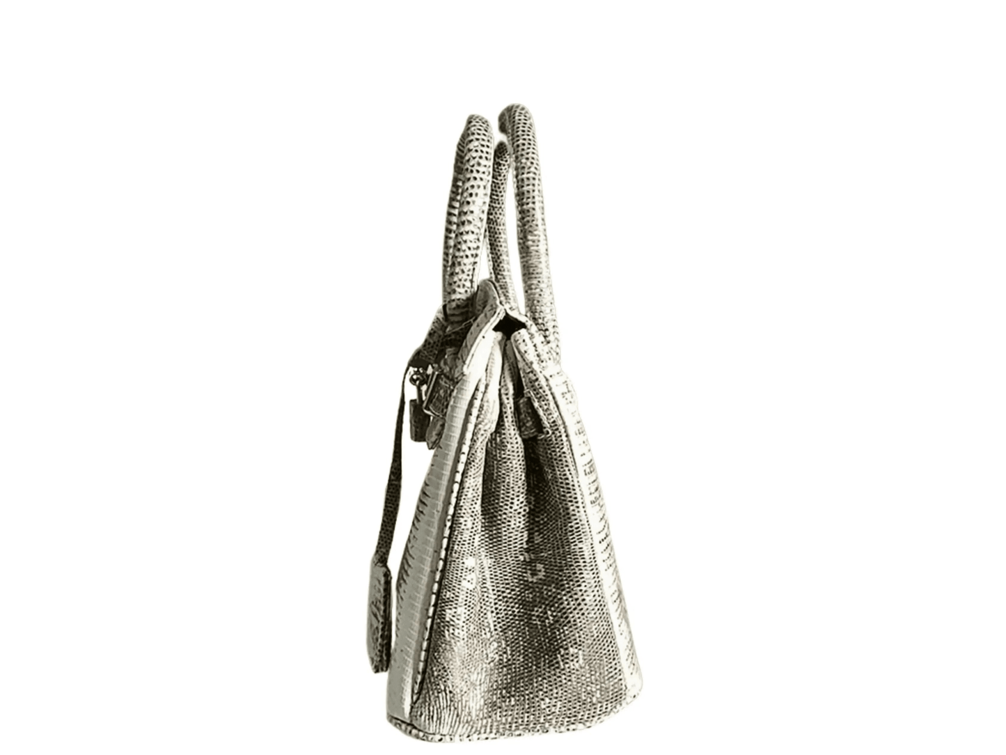 Lizard Birkin 25 - Python Jacket by LFM Fashion