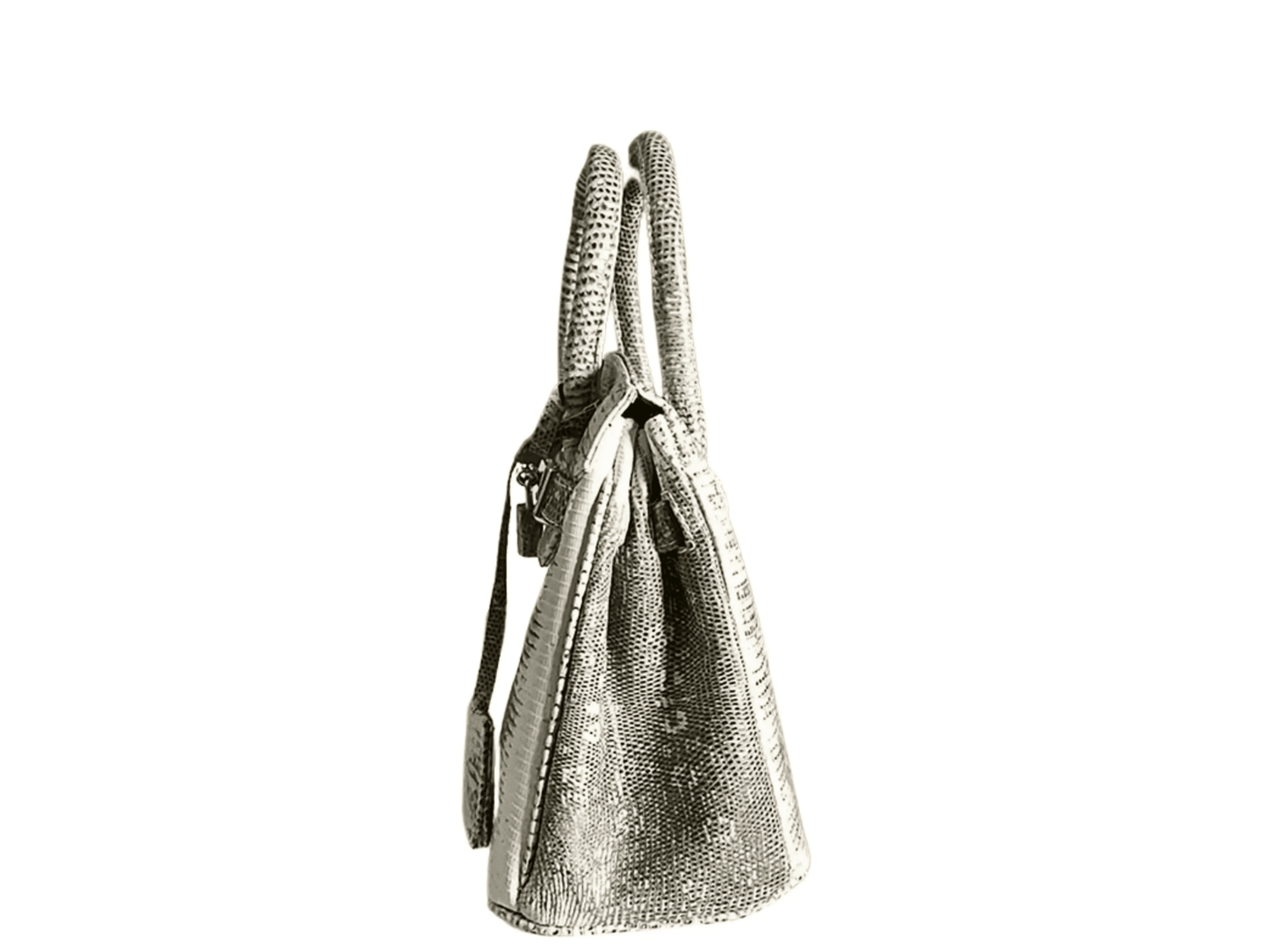 Lizard Birkin 25 - LFM Fashion