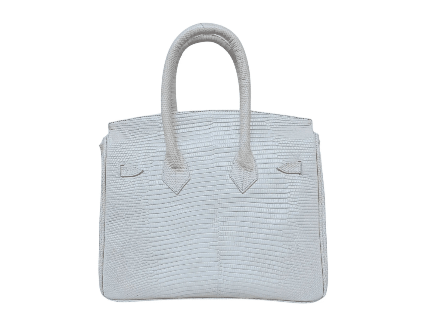 Lizard Birkin 25 - Python Jacket by LFM Fashion