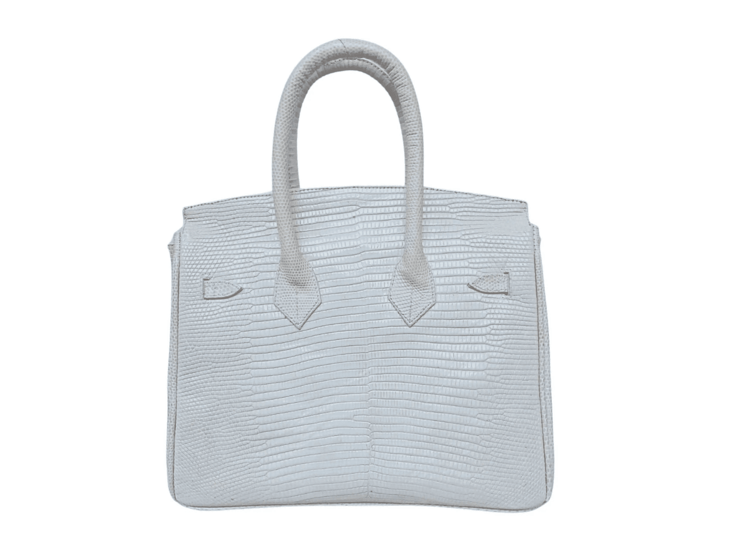 Lizard Birkin 25 - LFM Fashion