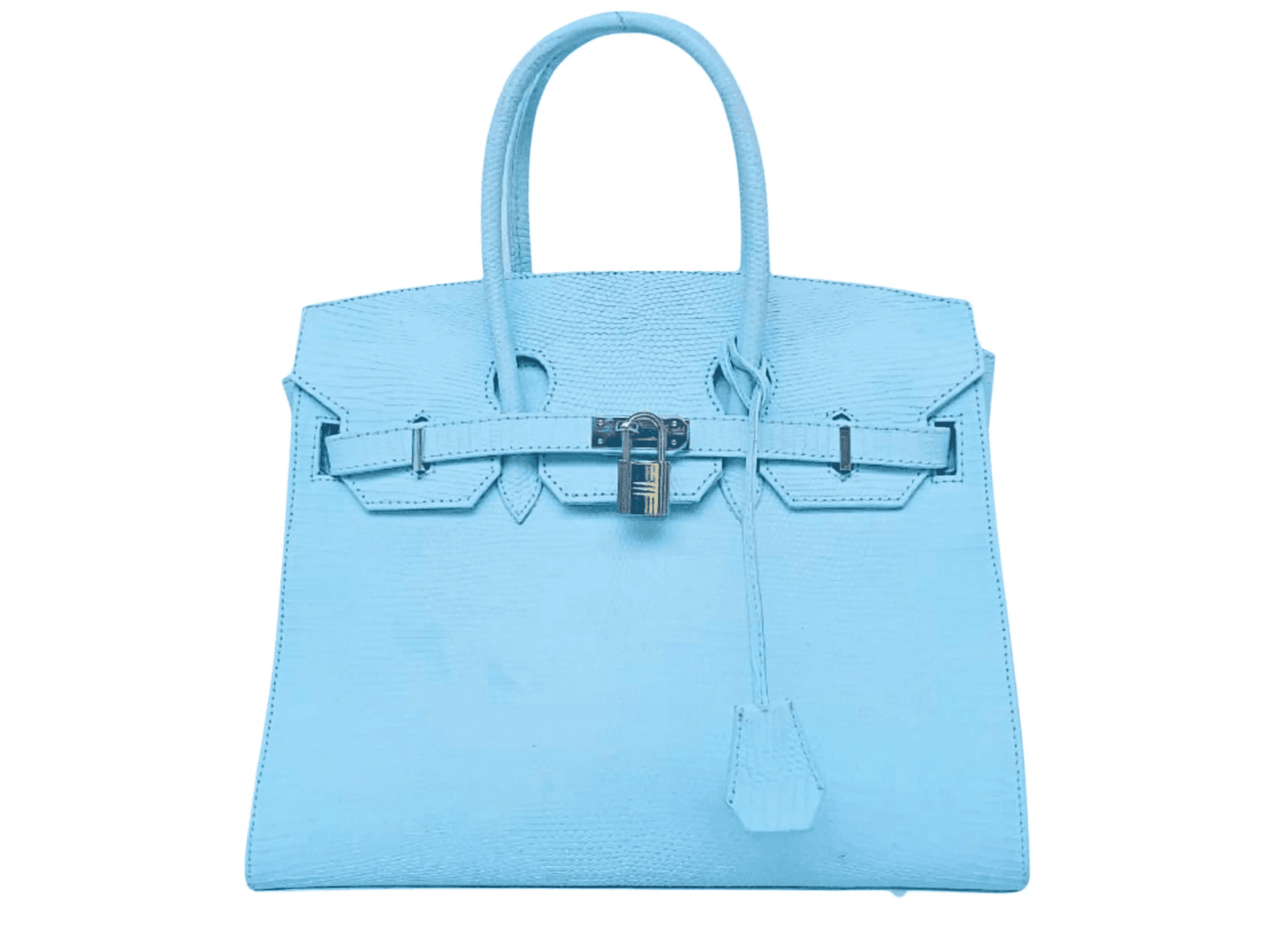Lizard Birkin 25 - LFM Fashion