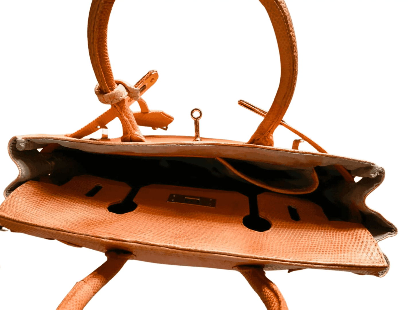 Lizard Birkin 25 - LFM Fashion