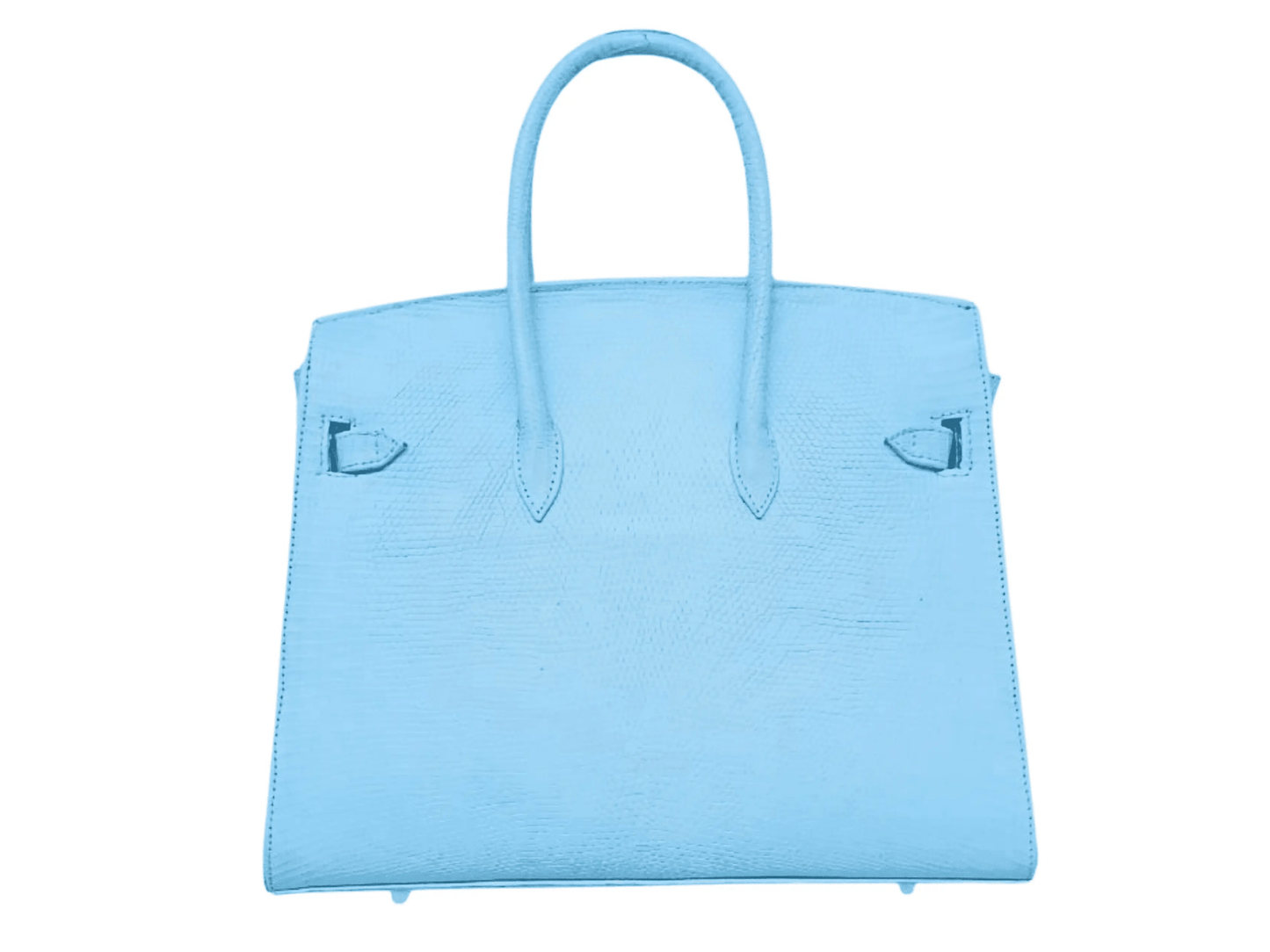 Lizard Birkin 25 - Python Jacket by LFM Fashion
