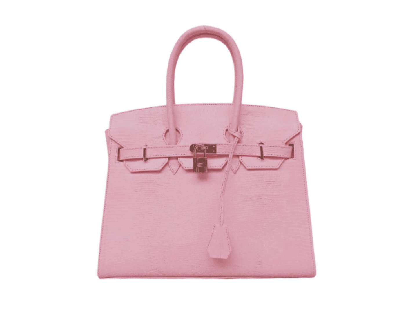 Lizard Birkin 25 - Python Jacket by LFM Fashion
