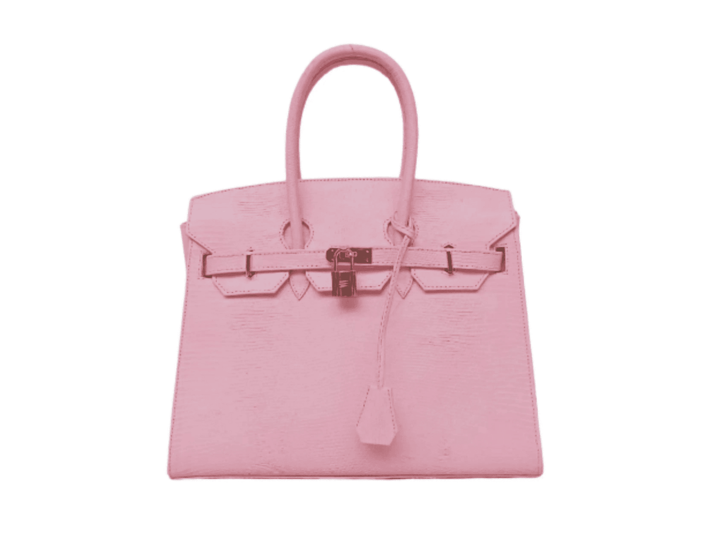 Lizard Birkin 25 - LFM Fashion