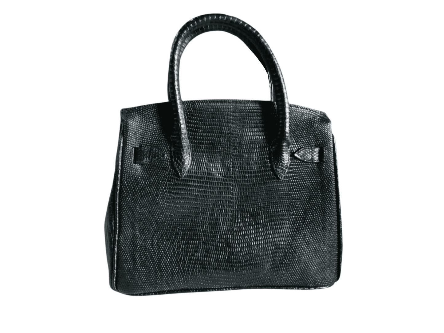 Lizard Birkin 25 - LFM Fashion