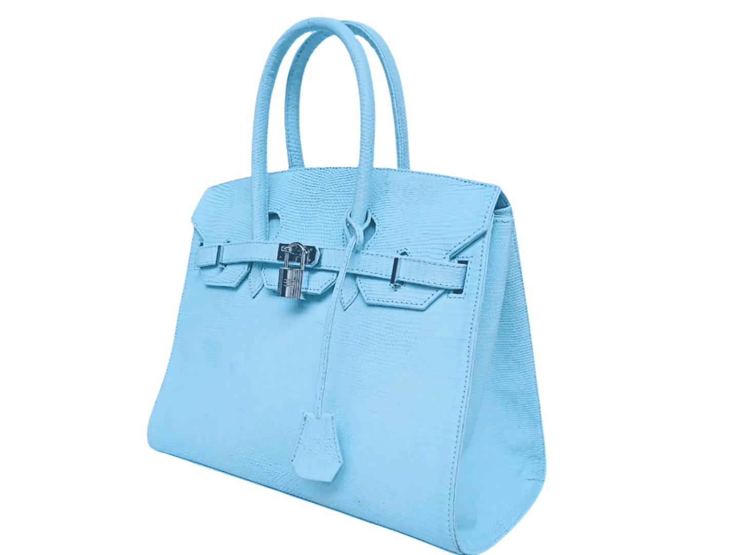 Lizard Birkin 25 - Python Jacket by LFM Fashion