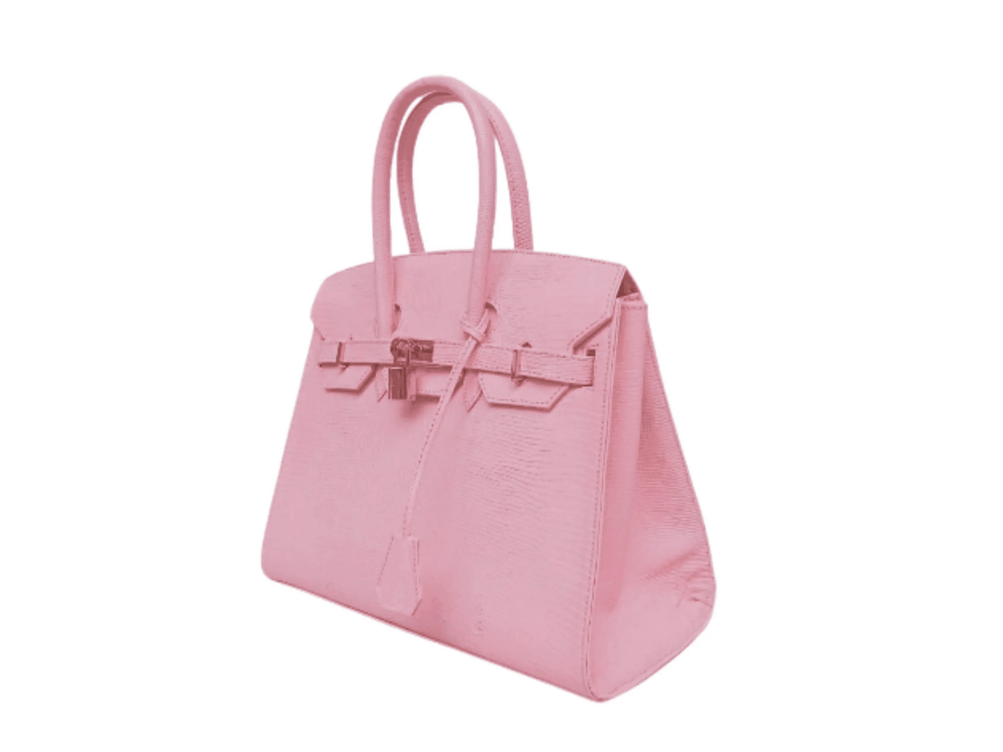 Lizard Birkin 25 - Python Jacket by LFM Fashion