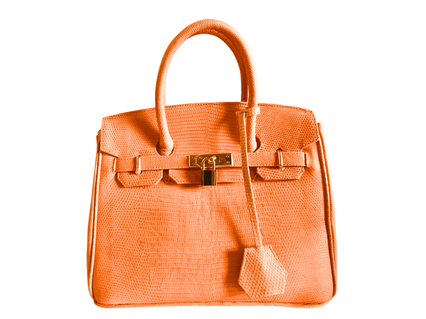 Lizard Birkin 25 - Python Jacket by LFM Fashion