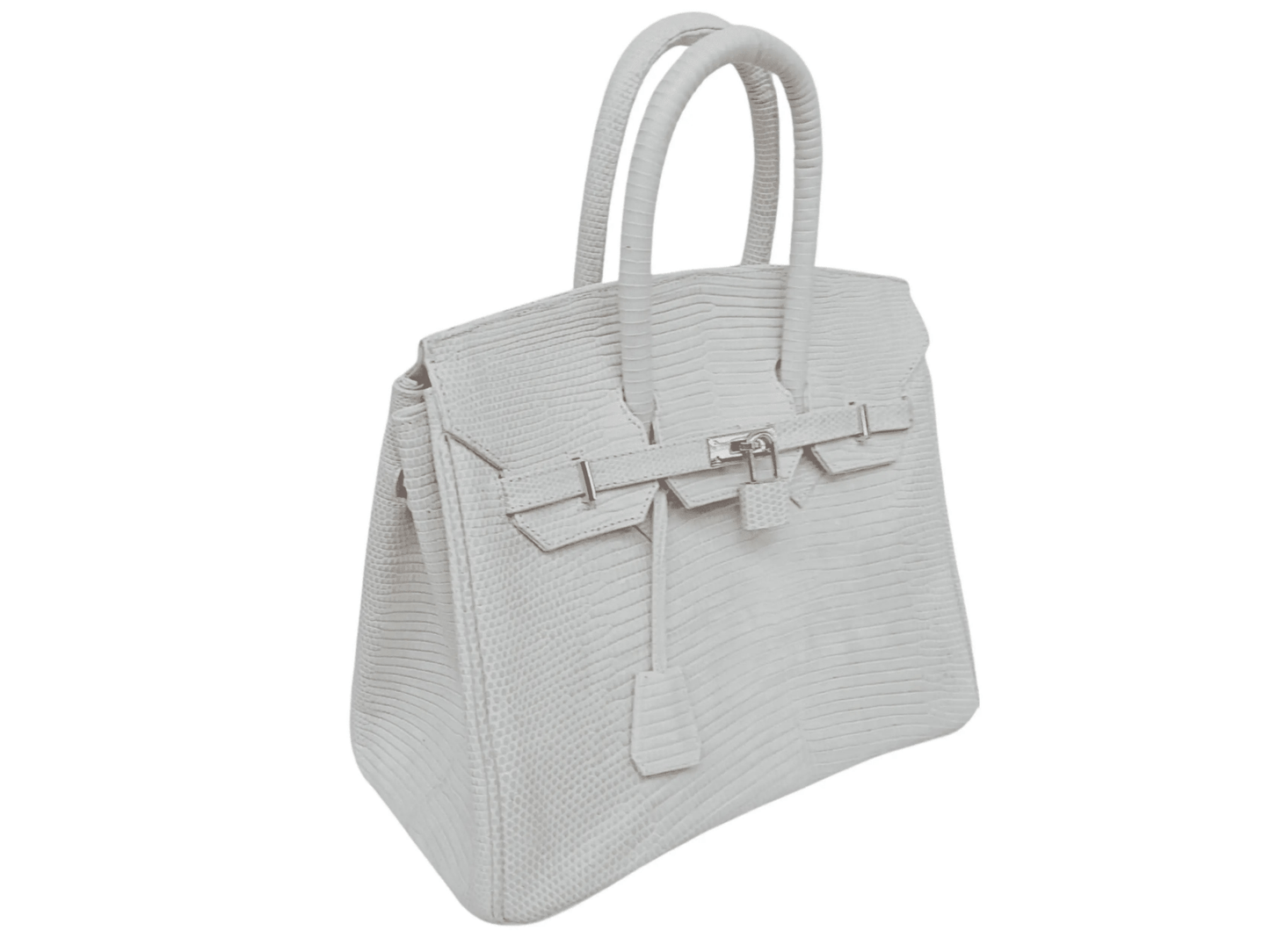 Lizard Birkin 25 - Python Jacket by LFM Fashion