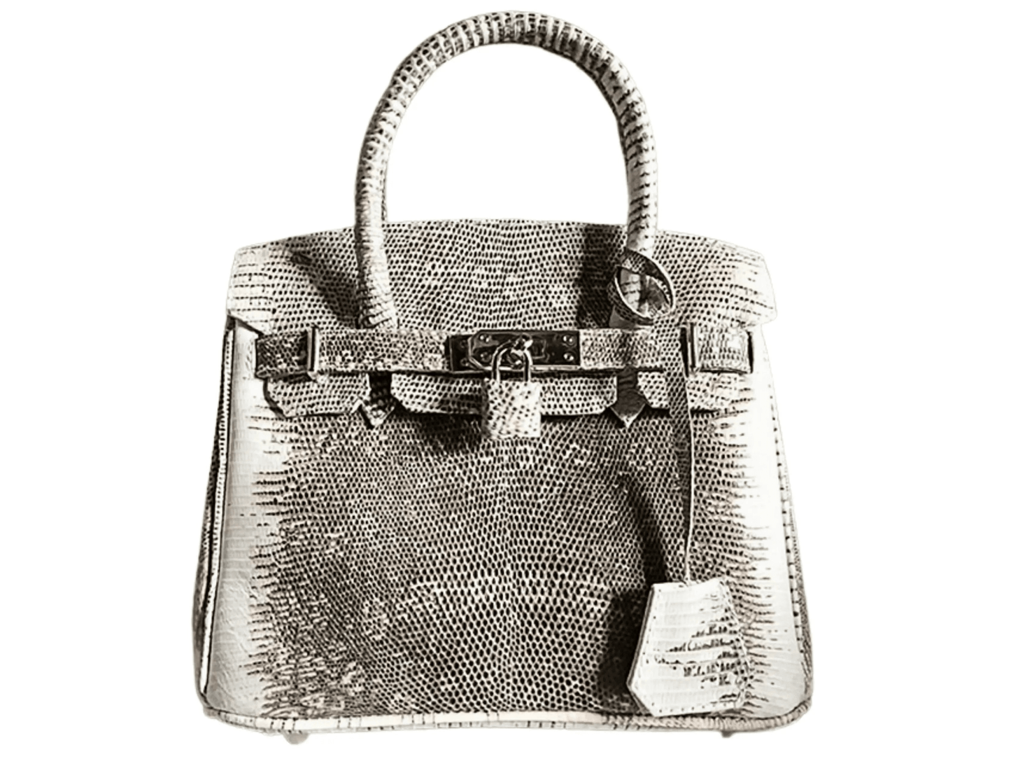 Lizard Birkin 25 - Python Jacket by LFM Fashion