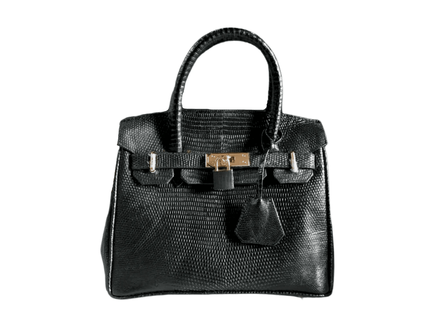 Lizard Birkin 25 - Python Jacket by LFM Fashion