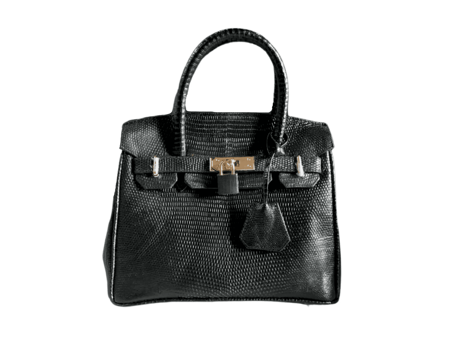 Lizard Birkin 25 - LFM Fashion