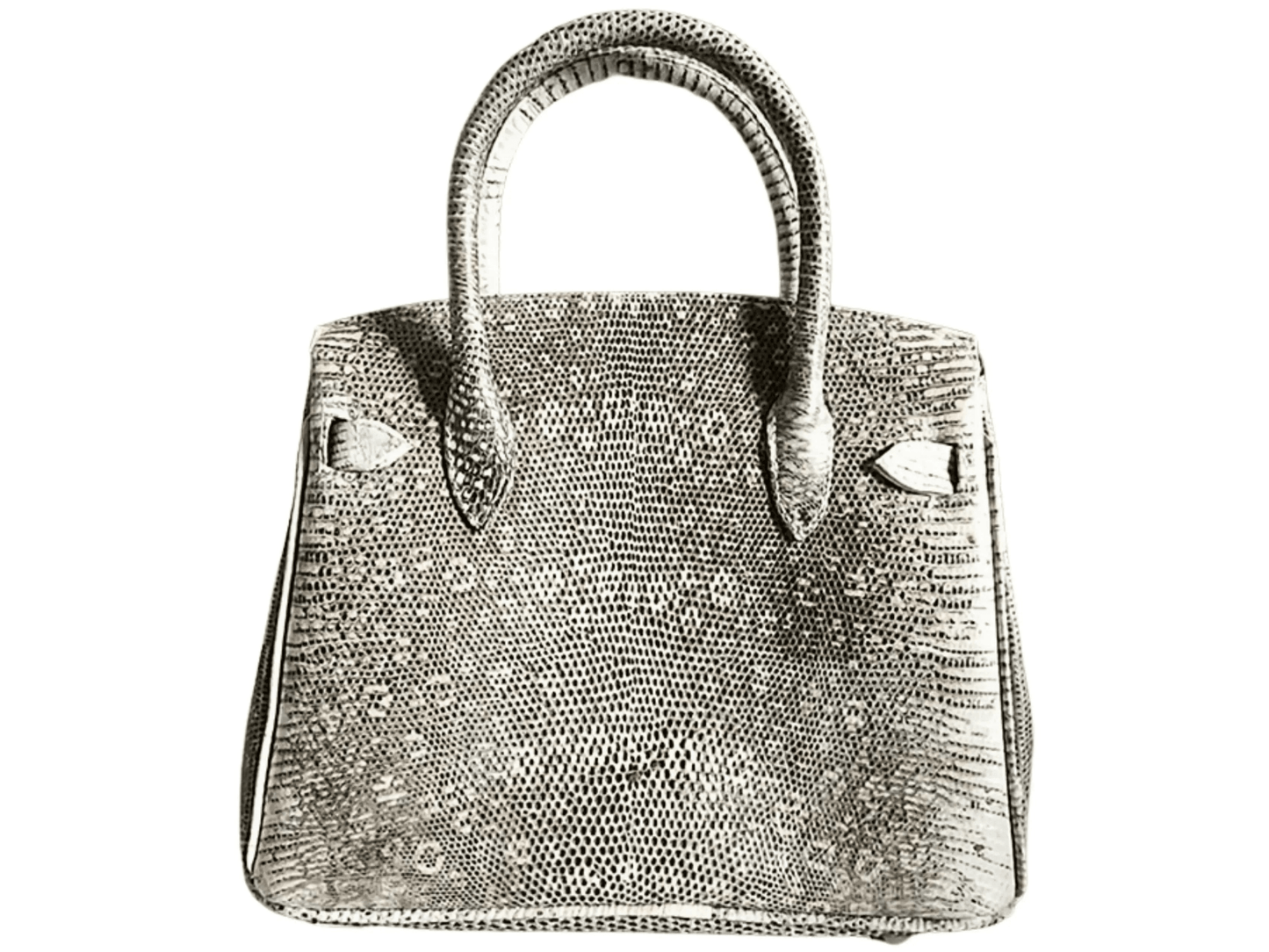Lizard Birkin 25 - Python Jacket by LFM Fashion
