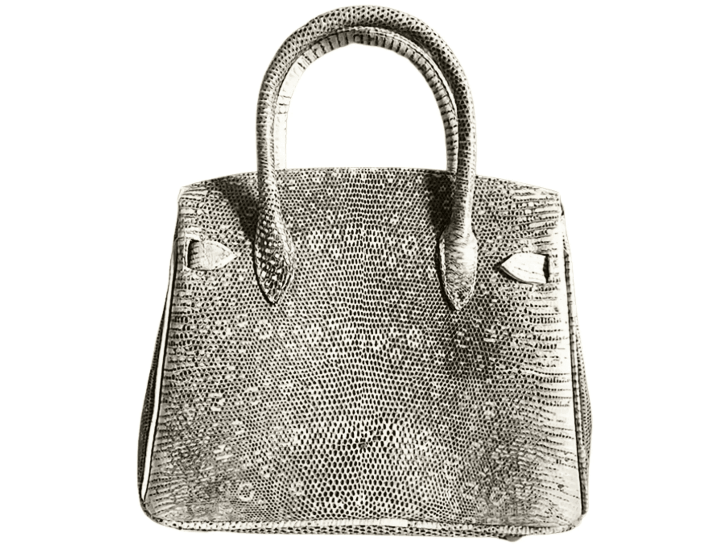 Lizard Birkin 25 - LFM Fashion