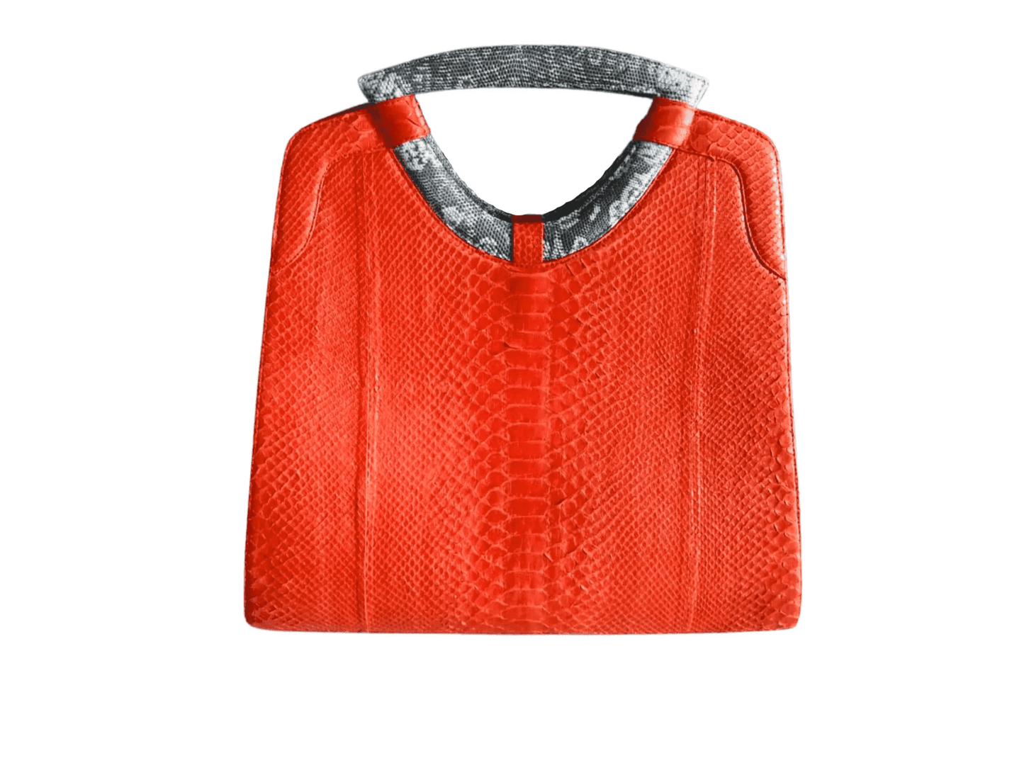 Tote Python Snakeskin Women Bag with Natural Lizard Skin Trim - LFM Fashion