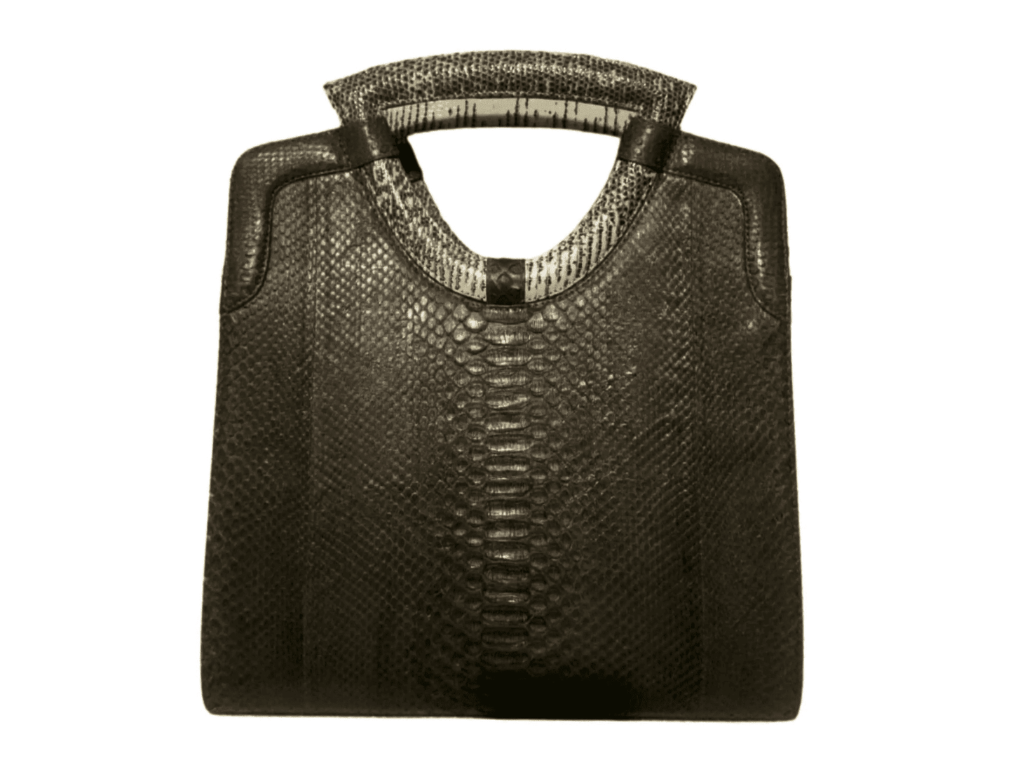 Tote Python Snakeskin Women Bag with Natural Lizard Skin Trim - LFM Fashion