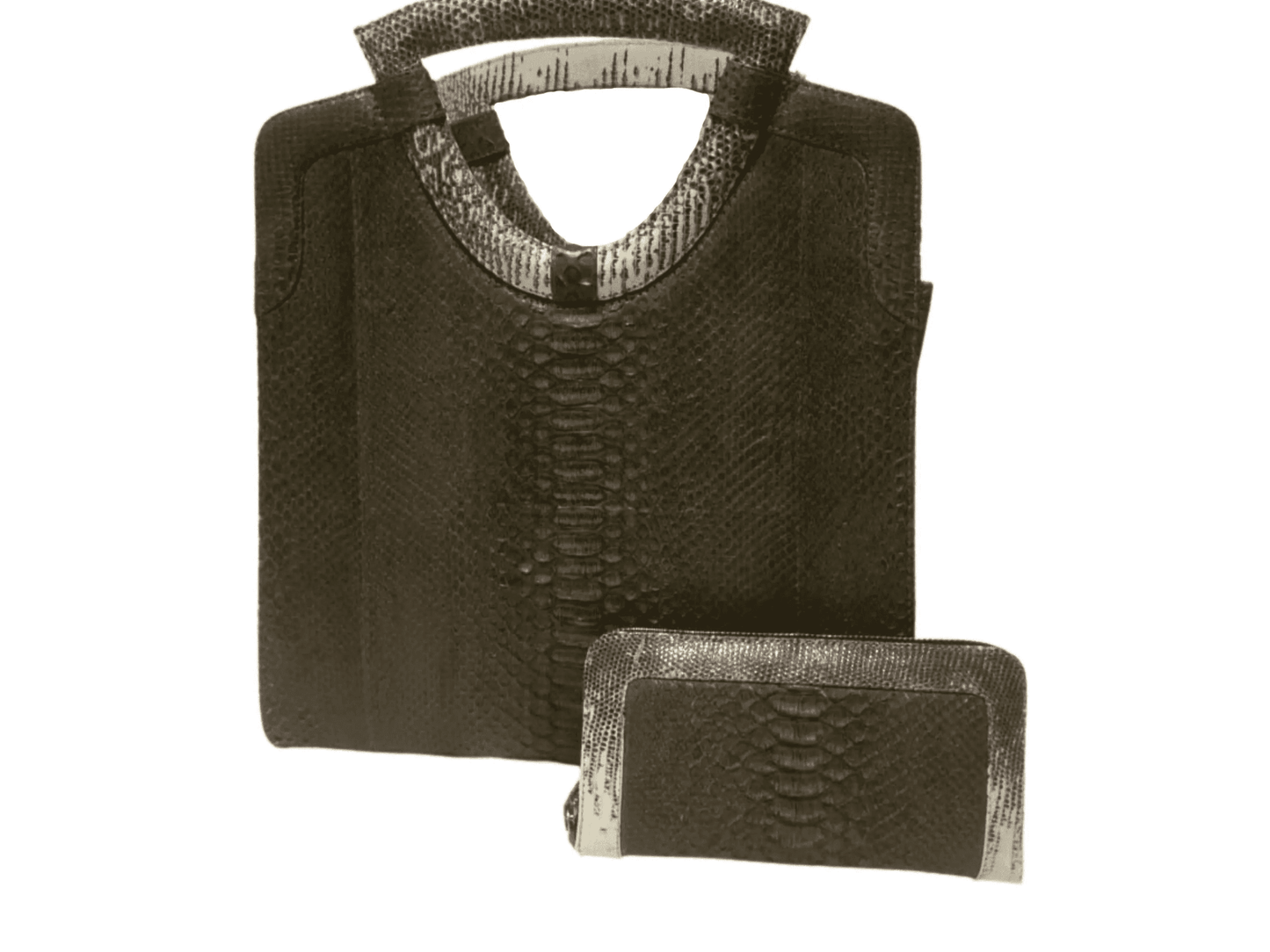 Tote Python Snakeskin Women Bag with Natural Lizard Skin Trim - LFM Fashion