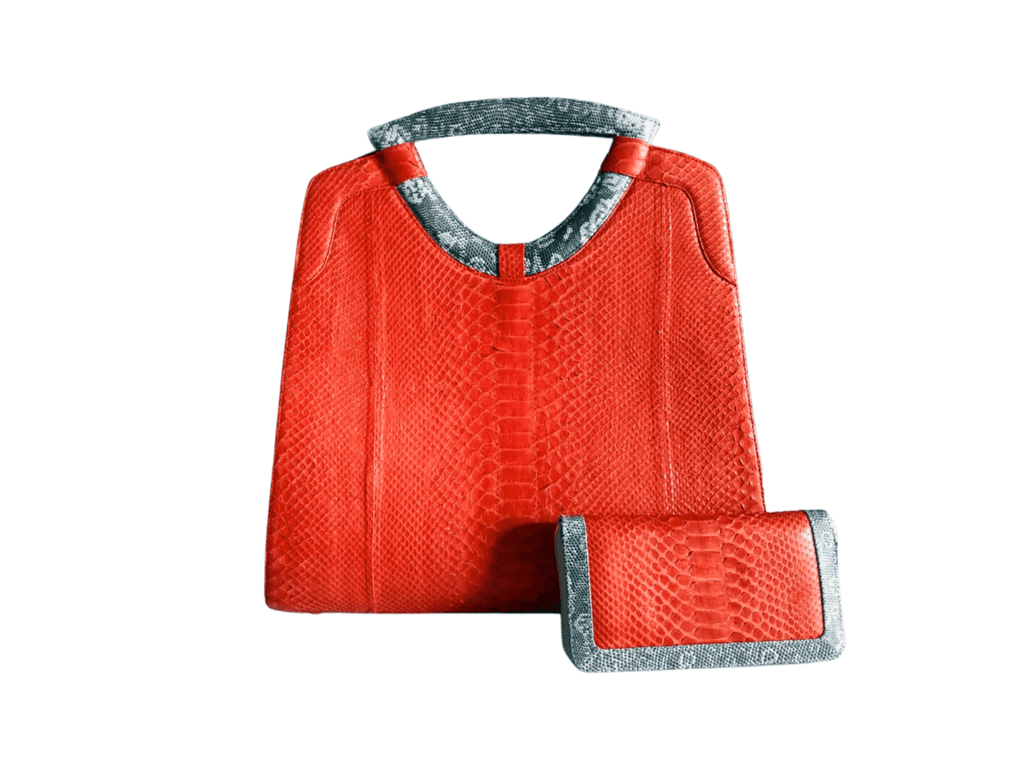 Tote Python Snakeskin Women Bag with Natural Lizard Skin Trim Red Python Jacket by LFM Fashion