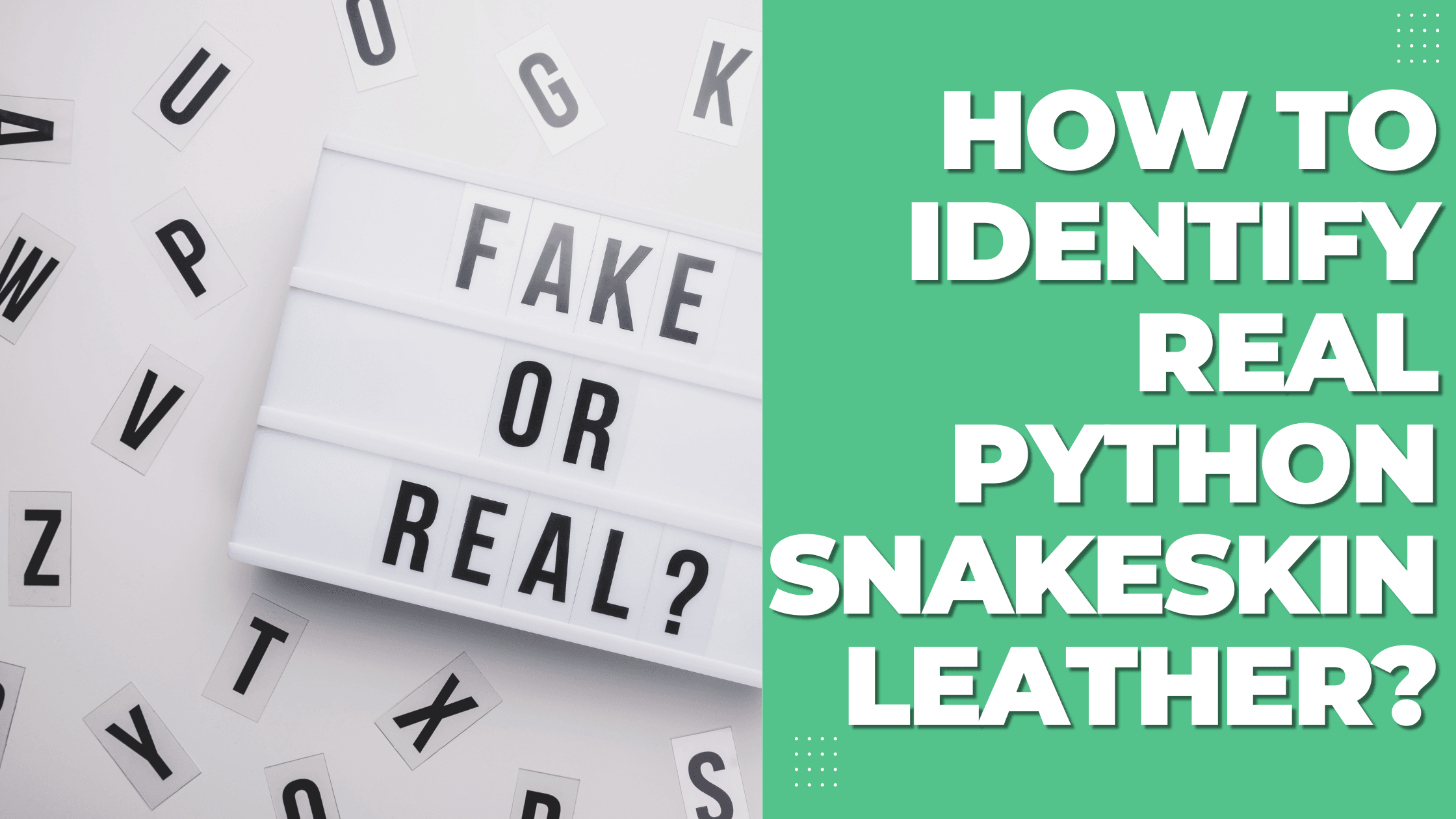 Python Snake Skin Checkbook How to Identify Real Python Snakeskin Leather?