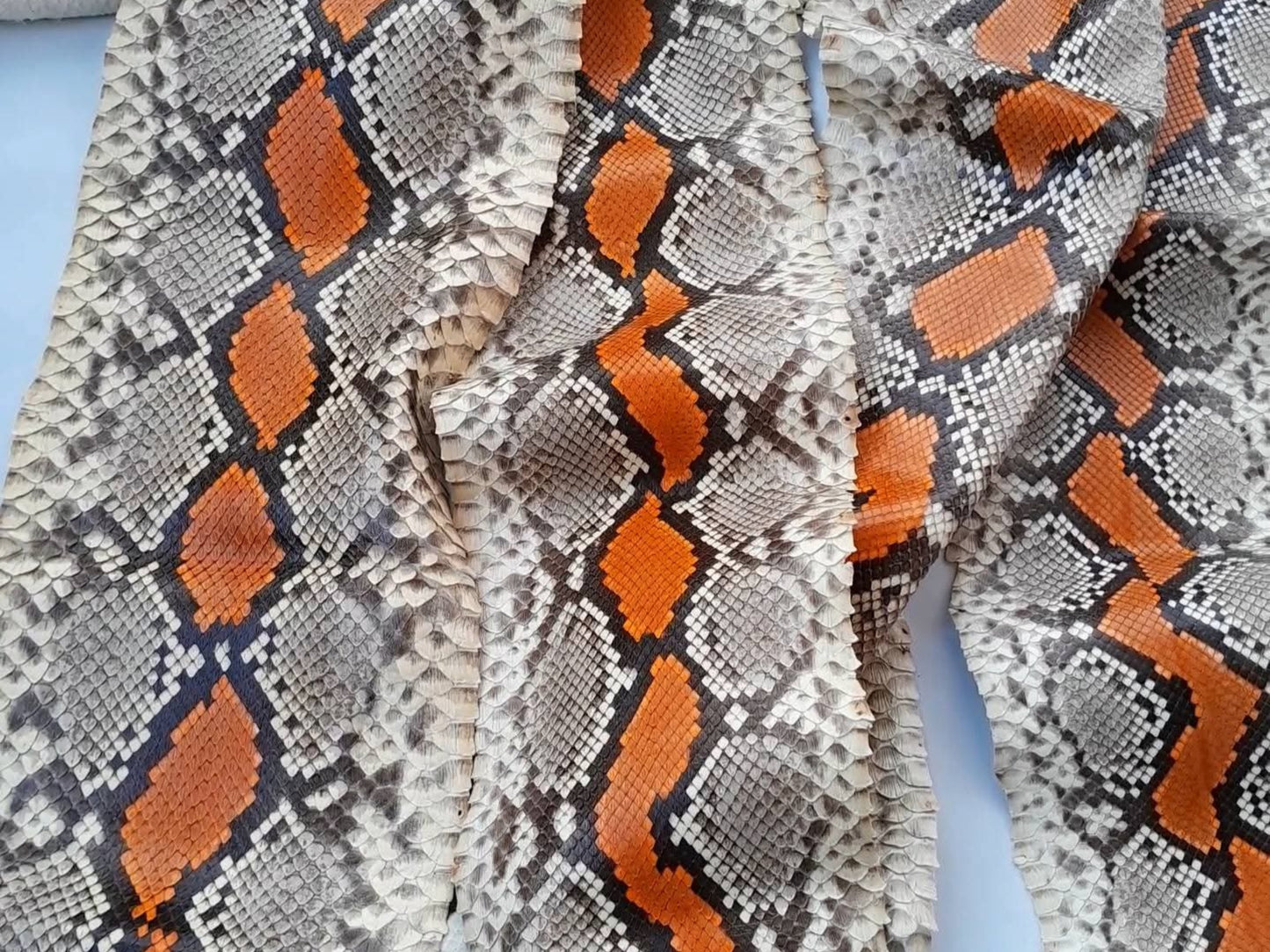 Multi Orange Python Snakeskin Jacket