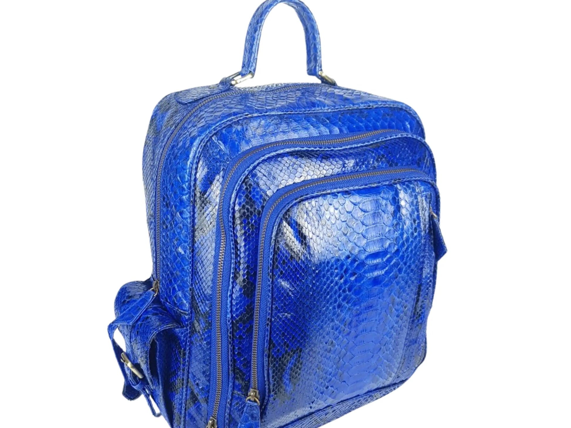 Blue Snakeskin Backpack 1