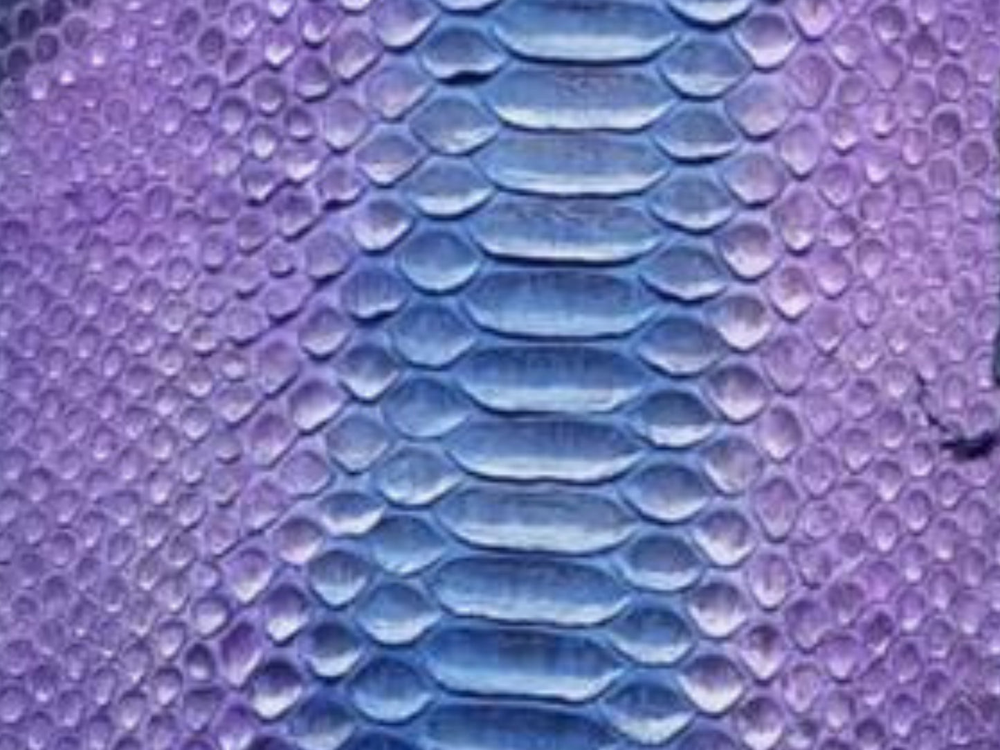 Purple Blue Python Snakeskin Jacket
