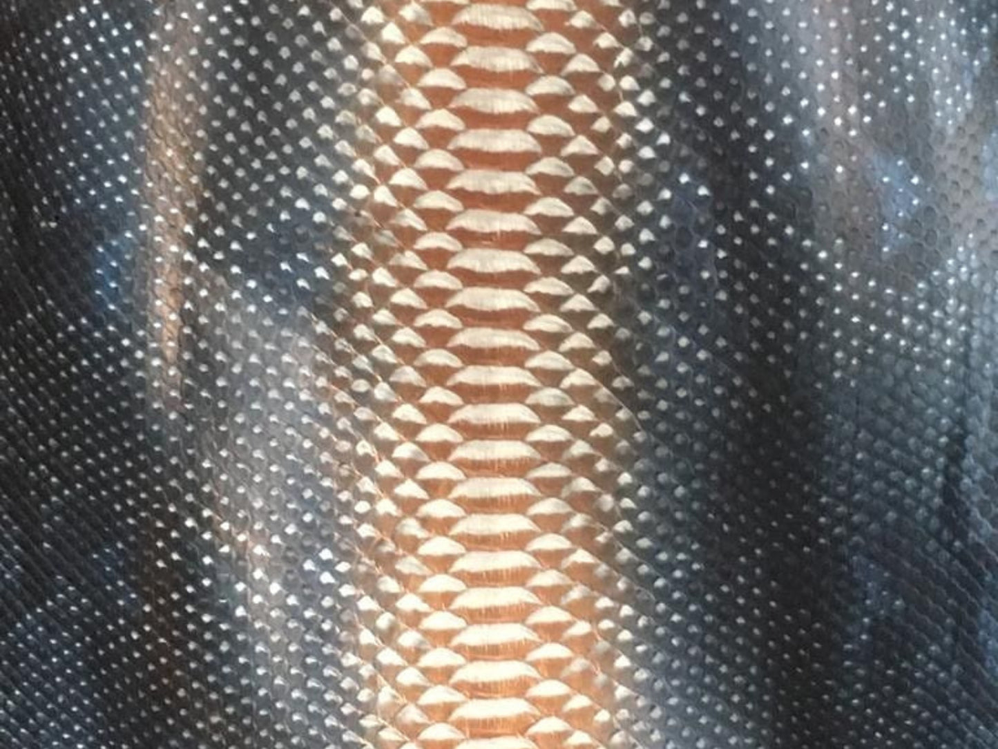 Close-up of textured snakeskin with a patterned design